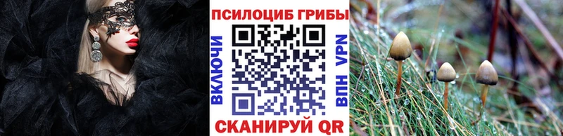 Галлюциногенные грибы Psilocybe Омск