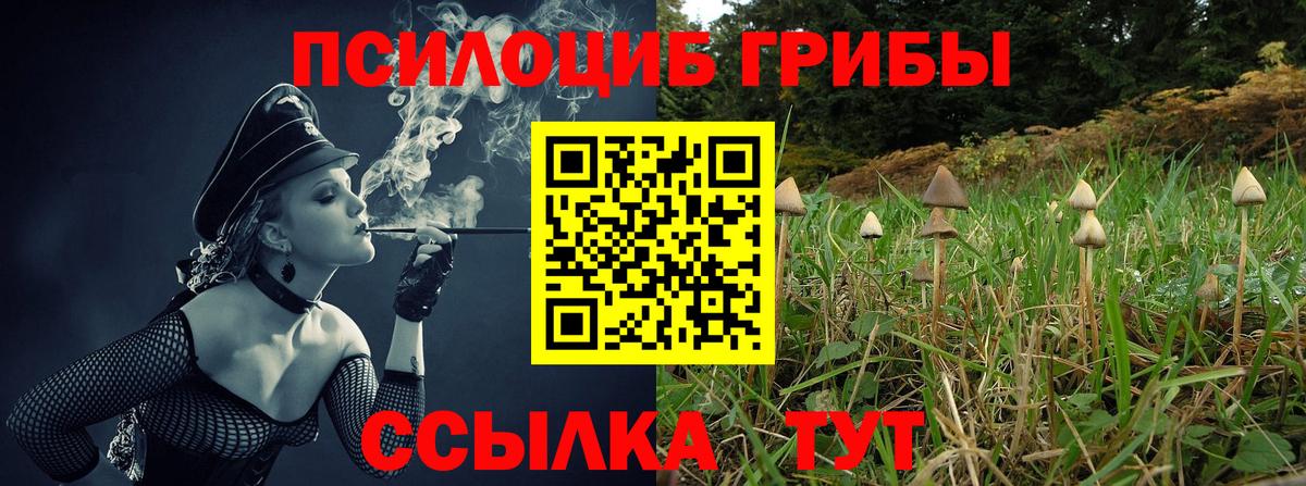 Псилоцибиновые грибы ЛСД Омск